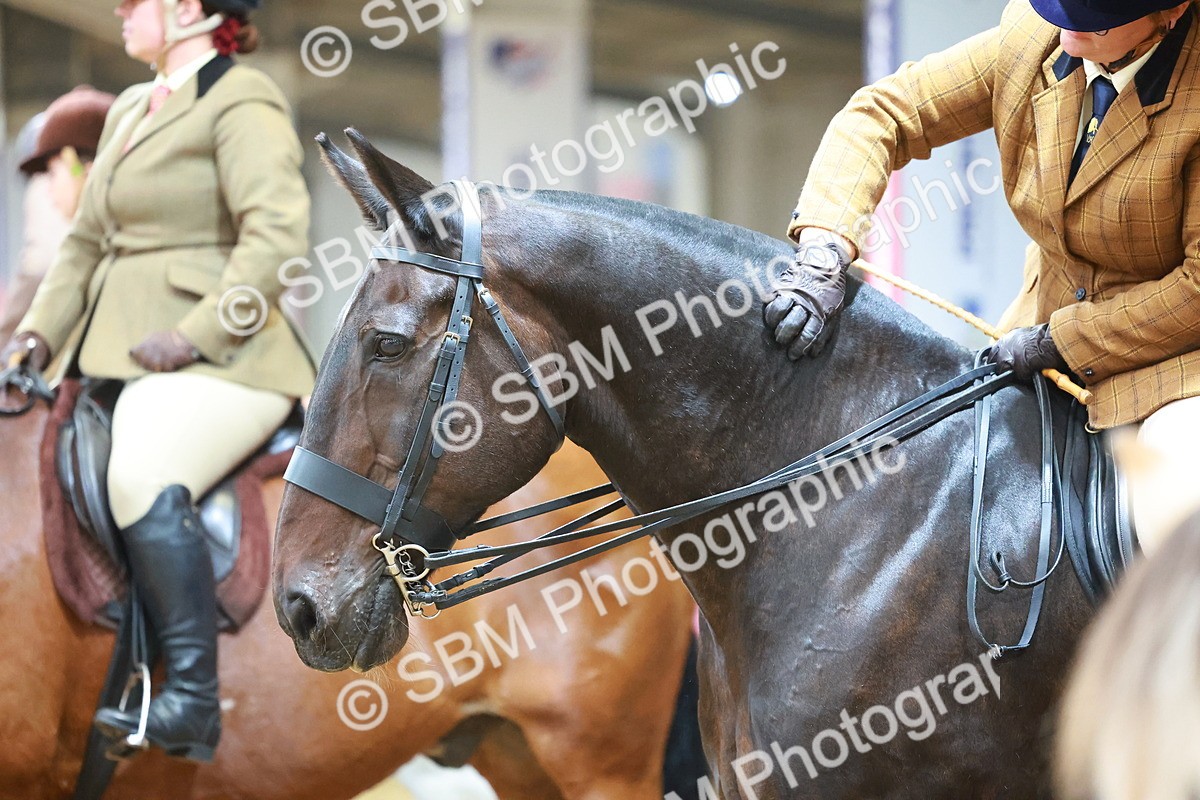 SBM_09472 - Class 102 - HOYS Veteran Qualifier - Ridden Veteran