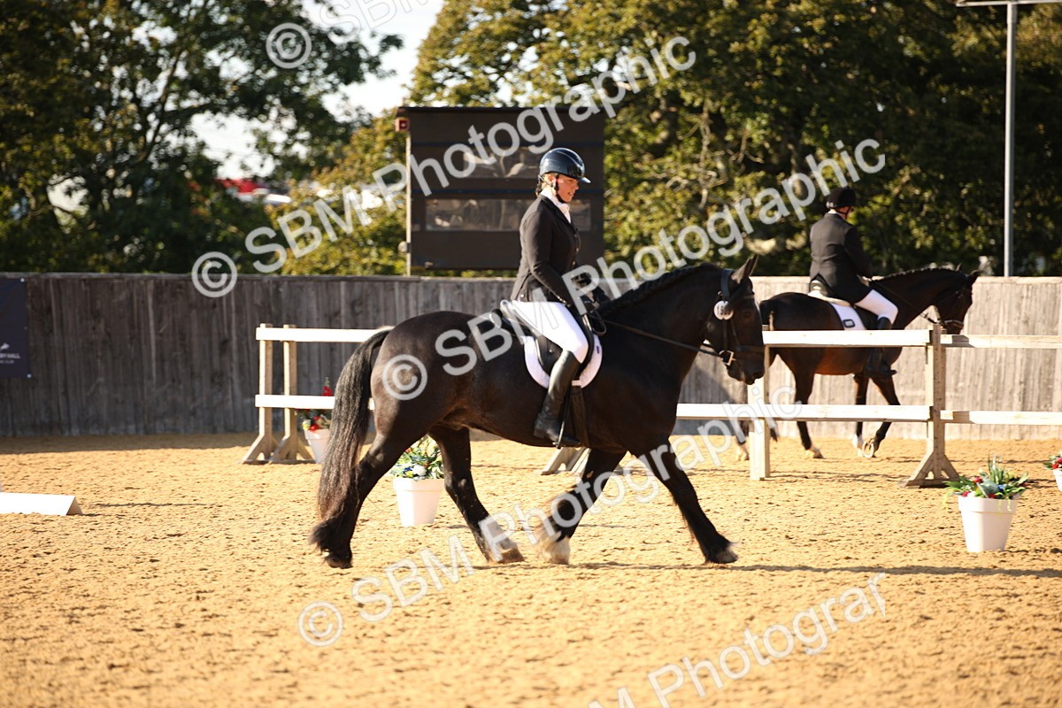 SBM_28360 - D11 - Small Tour Championship - Prelim 13