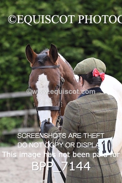 BPP_7144 - RING 1  (RIDDEN HORSES / IN HAND / VETERAN ETC)