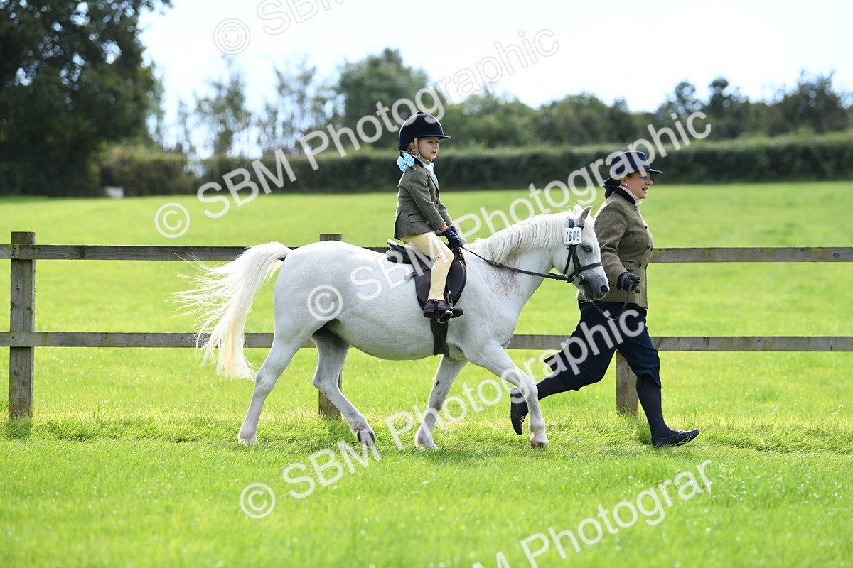 SBM_42485 - S20 - Lead Rein Mountain & Moorland Pony