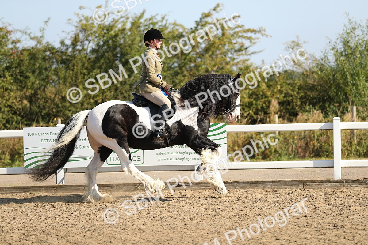 SBM_01262 - Class 42 Ridden Veteran