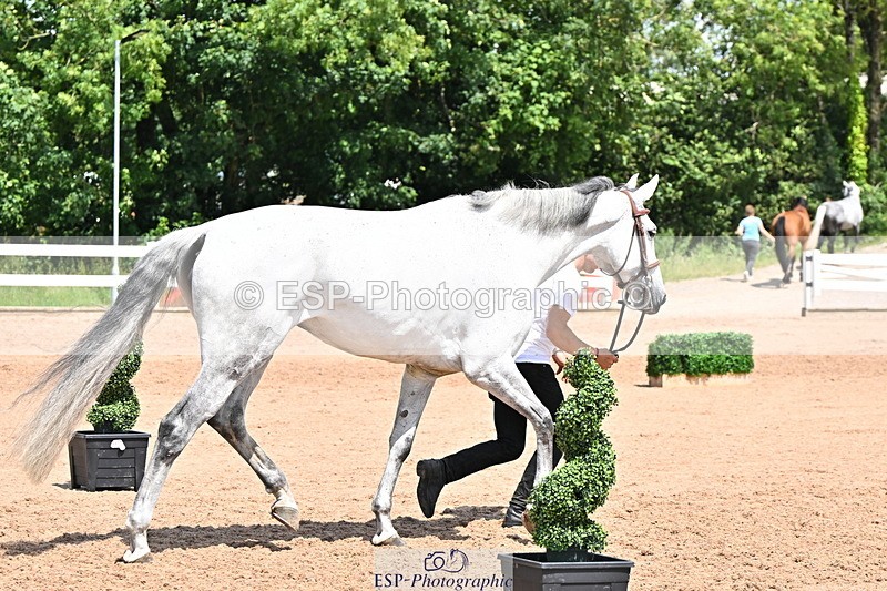 240718A-105310-01658 - Trot Up 1pm to 2pm