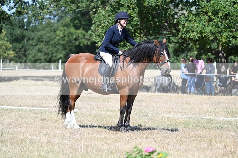 WJ7_0839 - Time 12:03 to 12:23