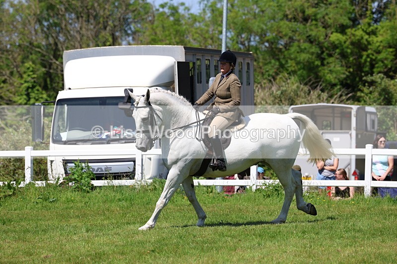3E7A8338 - Class 13: Ridden Hunter