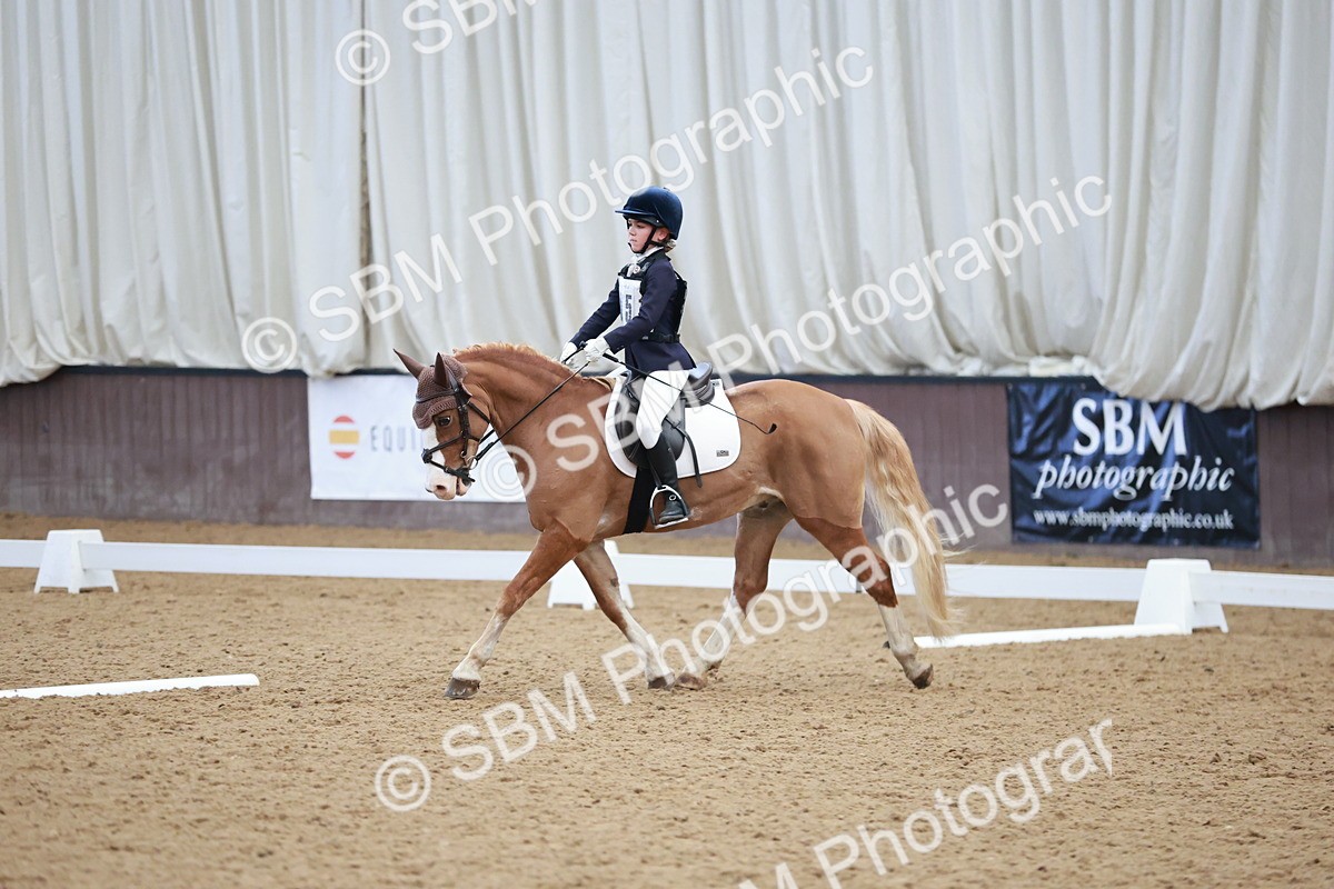 SBM_003974 - Class 2 - Novice 2020