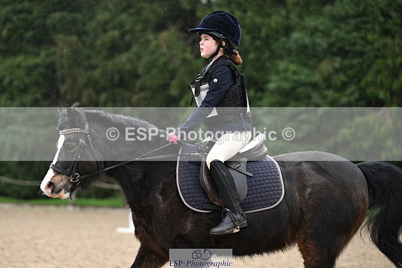 260222A-093909-00176 - 40cm Lead Rein and Assisted