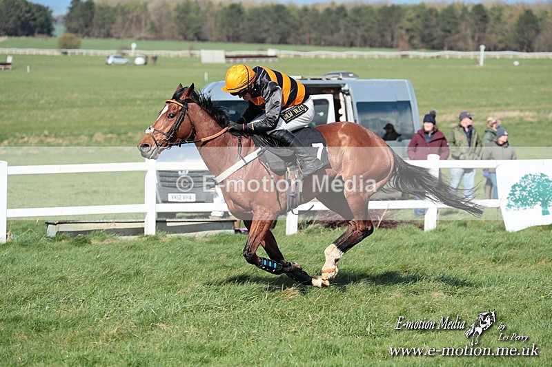 PtP 230324 562 - Tedworth Hunt PtP Larkhill Raccourse 23rd March 2024