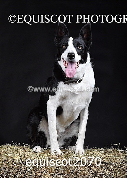 equiscot2070 - SKY & NELL