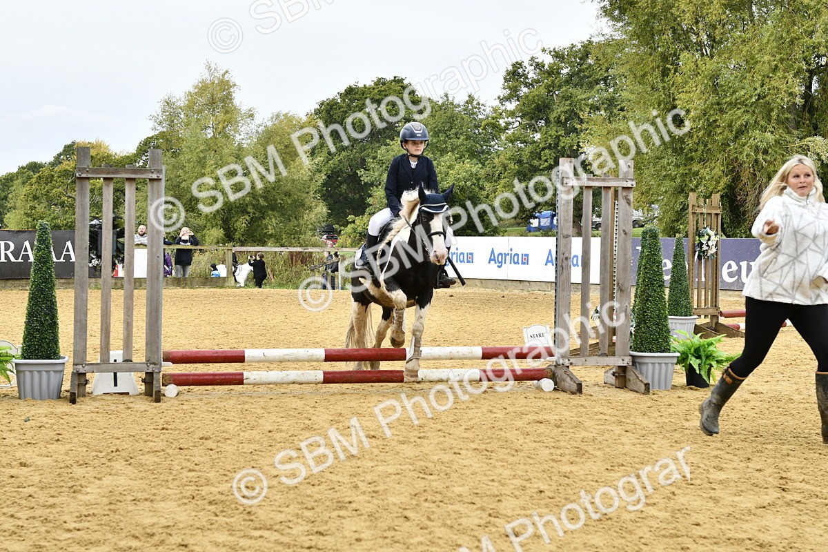 SBM_57226 - J61 - Mini Clear Round 30cm & 40cm