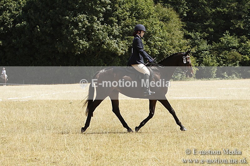 _BS_0720 - BVRC Show 2018 Ring 1