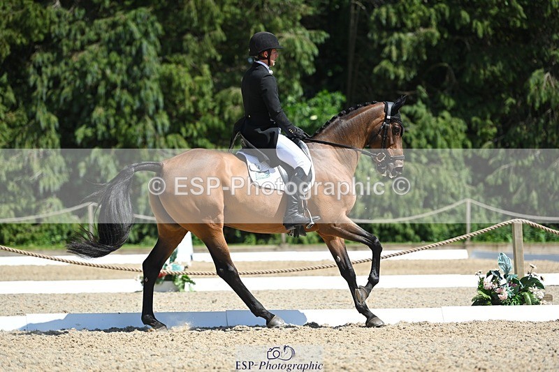 230526-144418-06992 - 484-MERMUS_R_DIAMONDS-Richard_Coney-DR