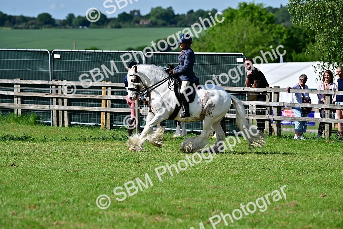 SBM_09389 - Class 63-65 - Traditional Gypsy Cobs In Hand & Ridden