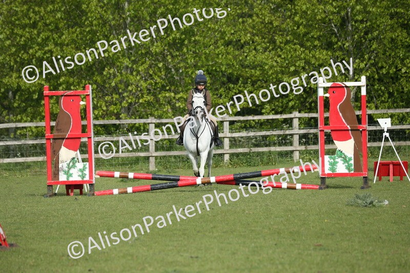 20260426-0113 - Class 13 - Rookie Jumping 50cm