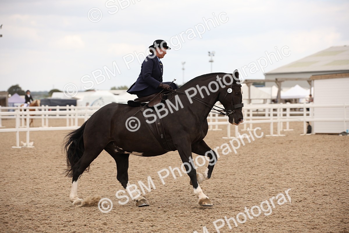 SBM_05466 - Class 22 SSA Equitation
