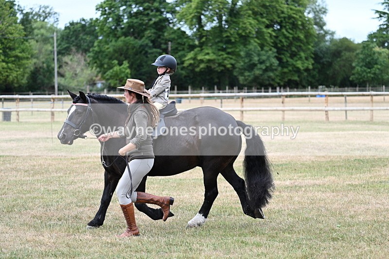 WJ7_9839 - Class 1 Lead Rein Pony