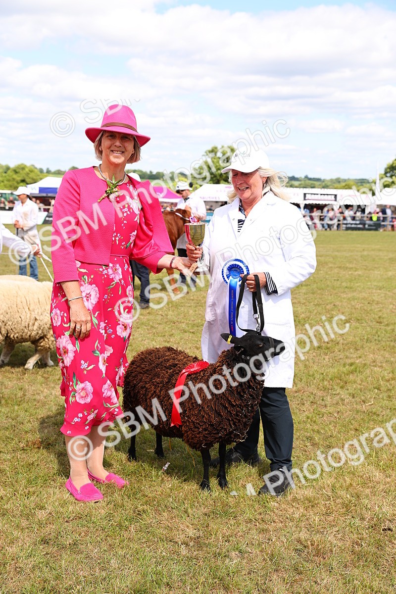 SBM_17013 - Grand Parade