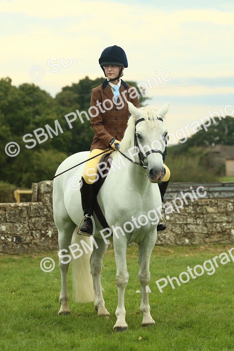 SBM_72242 - S60 - Mountain & Moorland Ridden Large Breeds