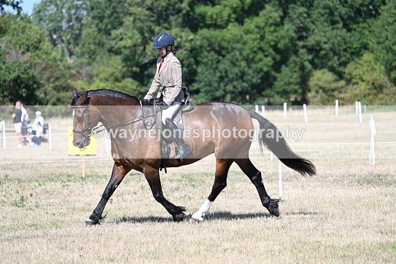 WJ7_3925 - Class 9 Mountain & Moorland Ridden