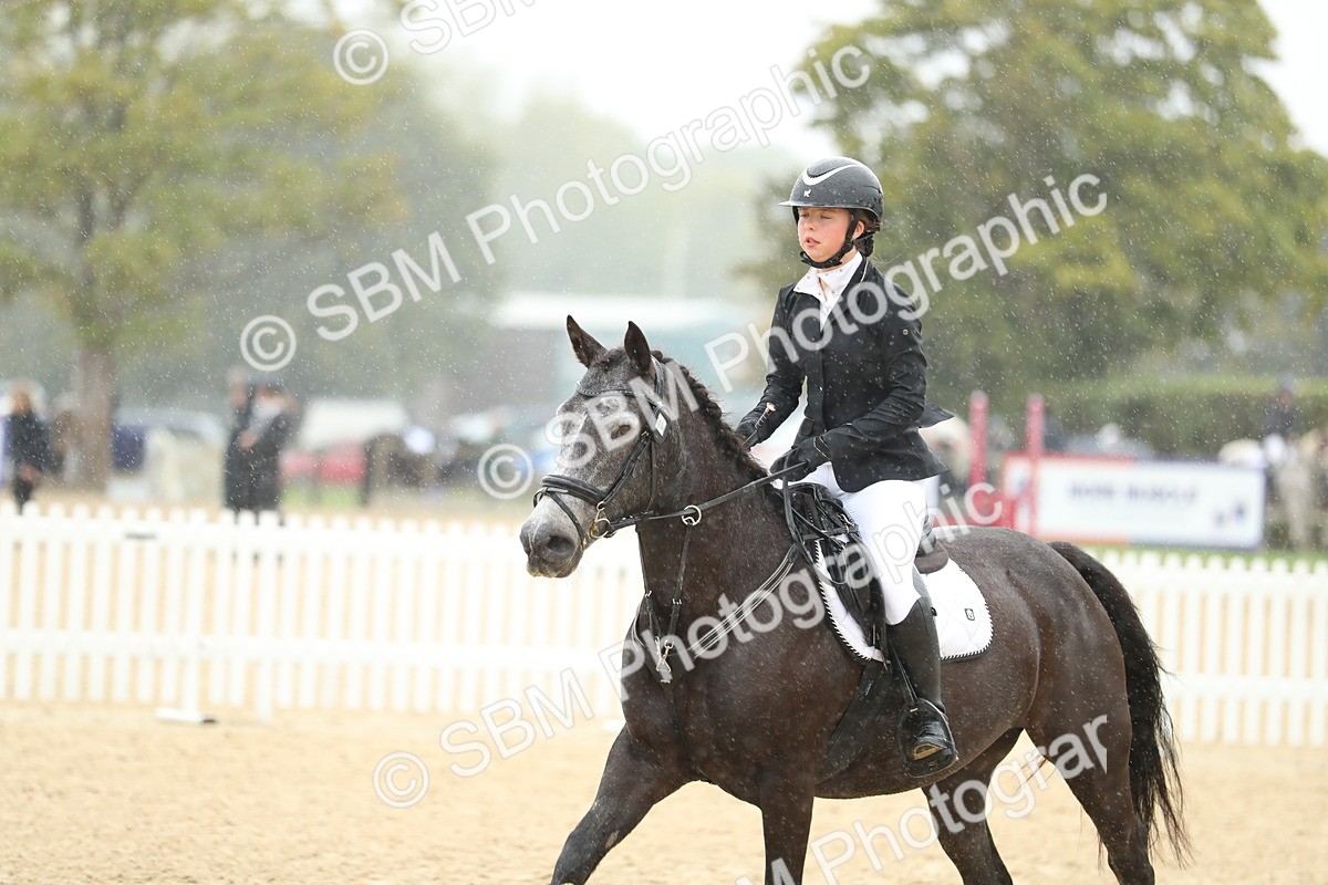SBM_70388 - J15 - Junior Pony 70cm Championship