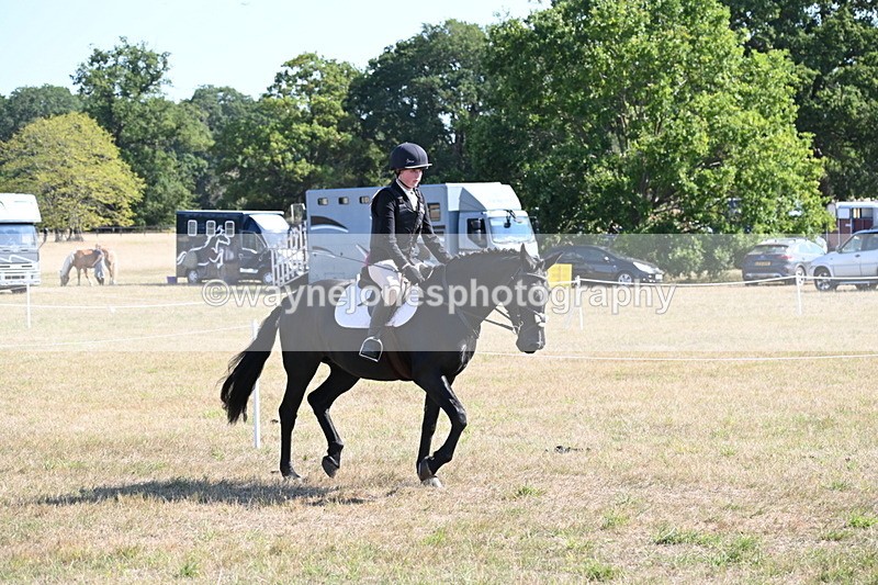 WJ6_7518 - Class 34 Judges Choice