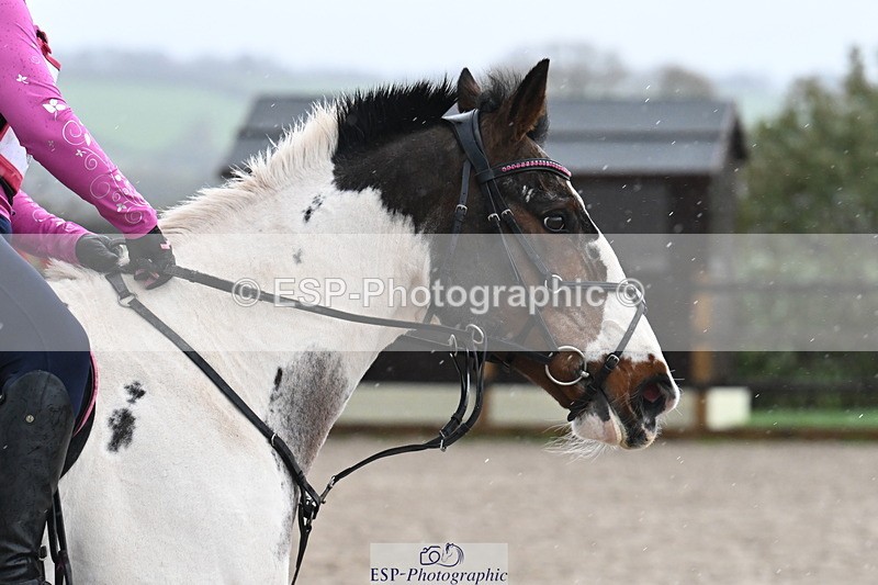 251109A-151919-01364 - Cls 07 60-65cm AE