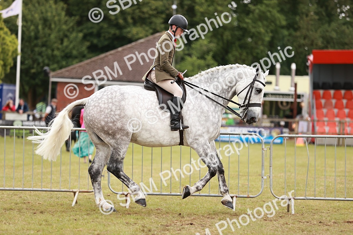 SBM_10918 - Class 81-84 - RIHS Ridden hunters Inc Ladies Hunter