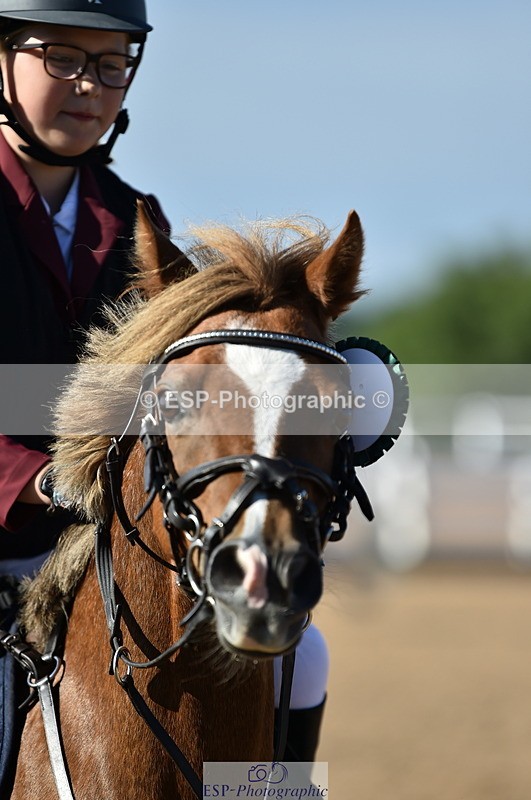 230903A-095232-03590 - Cls 17 Pony Intro 75cm