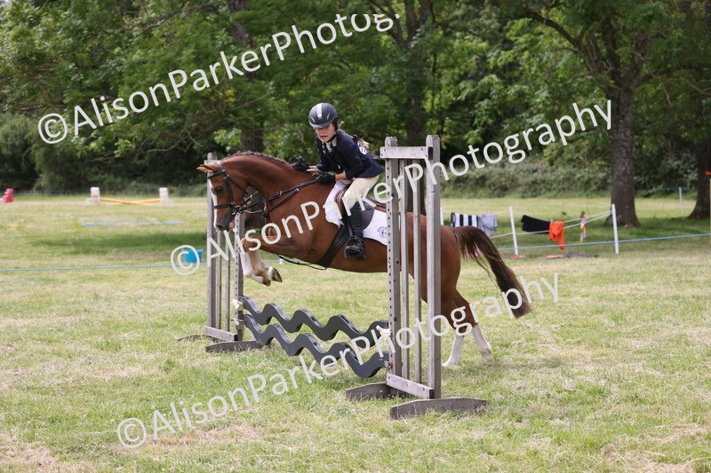20260614-4136 - Class 24 - Mini and Major Pairs Jumping