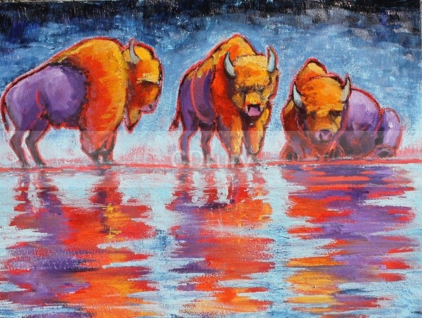 RW02181 'Bison Reflections' - Colorful Critters