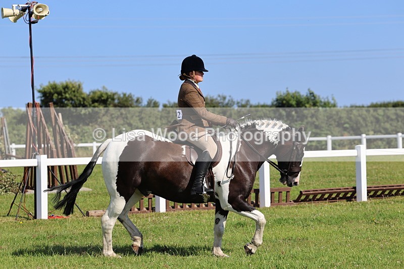 IMG_1624 - Skewbald and Piebald Ridden Championship