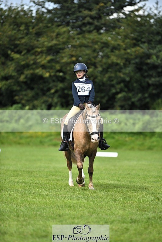 230826-102618-15473 - Sections C & D 10 to End