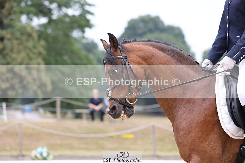 250718A-113142-00853 - 027-Lexi.Hill-Cornashton.Heavens.Above