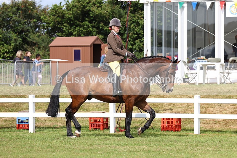 3E7A9284 - Class 4: Rising Star M/H Hunter