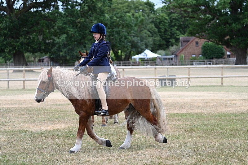 WJ7_0448 - Class 2 Best rider