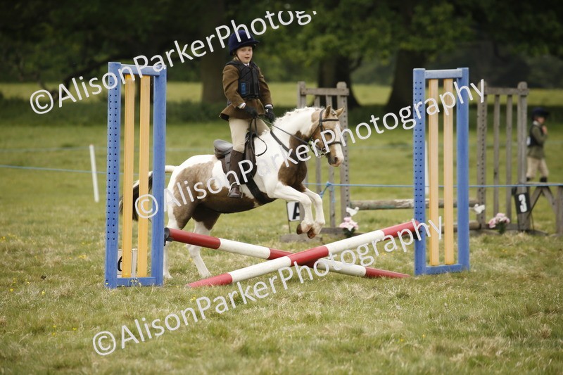 20250517-0804 - Class 2 - 30cm Off Lead Rein