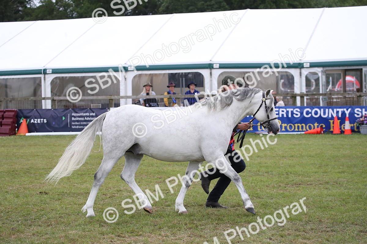 SBM_09865 - Ch 50 - Price Family Supreme In Hand
