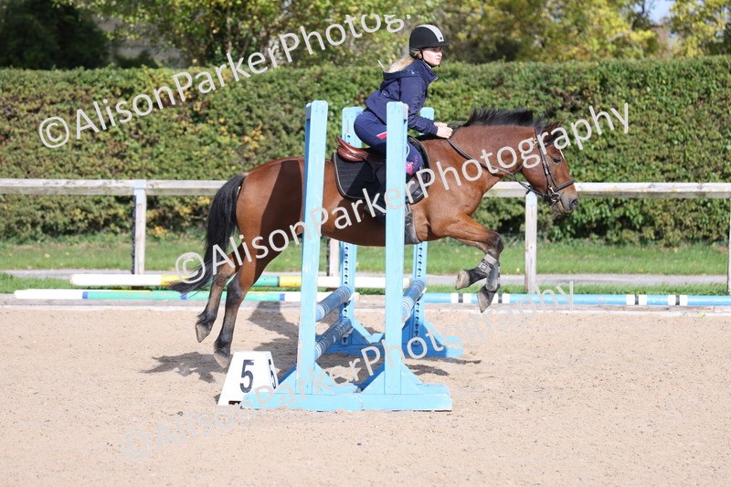 20251005-0348 - Class 3 - 60cm