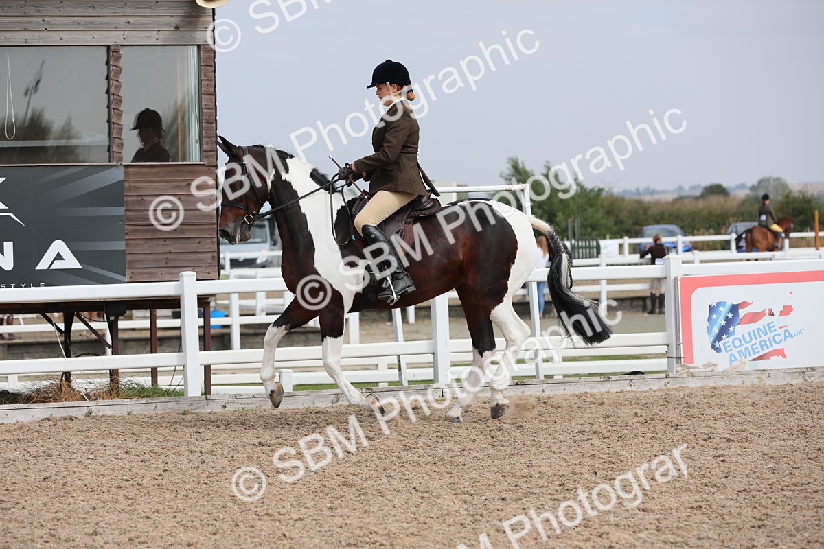 SBM_13362 - Class 308 Ridden Coloured Horse