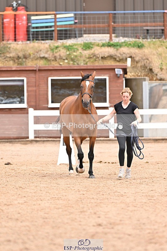 250716-153530-02035 - Trot Up 3.30 to 4.30