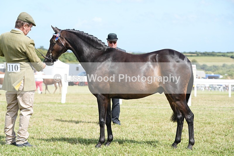 DSC07367 - Class 69: NPS Show Pony 4 years and over