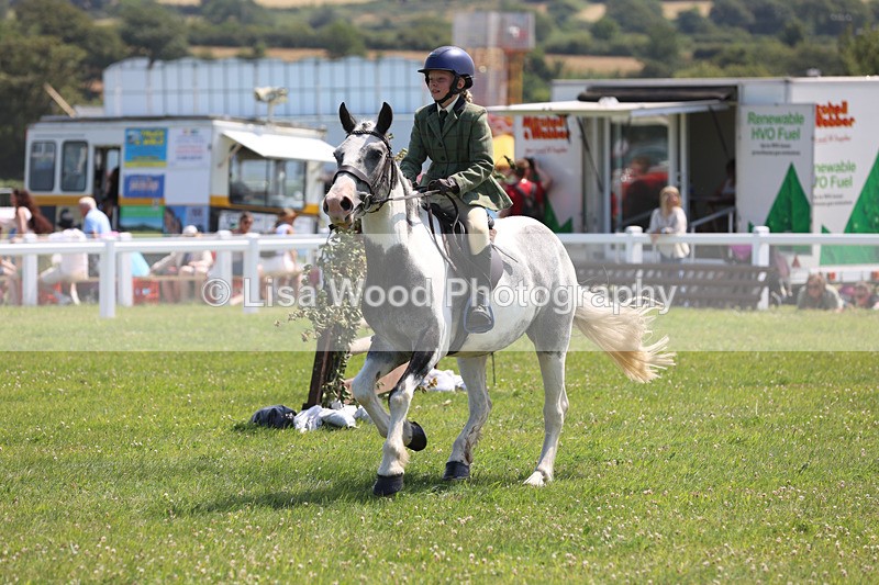 JPP_3190 - Class 22: Working Hunter 70cm