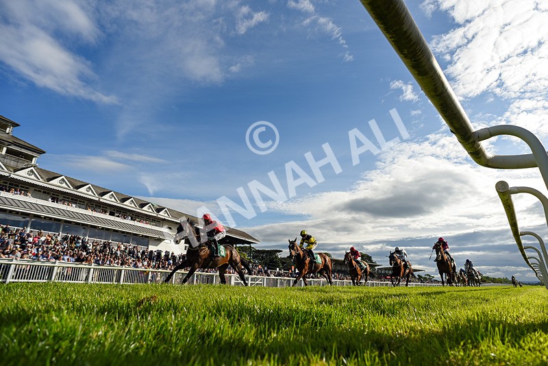 310526-Race 6-Mountain Road-3681 - Race 6 18.15pm Sky Bet For The Fans Handicap