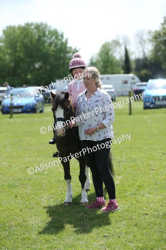 20250427-3431 - Class 8 - Handsomest Gelding