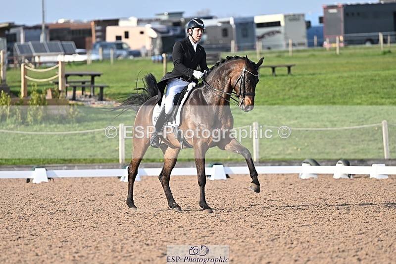 250404-181443-08579 - 159-Darren.Hicks-Tramontana.Tiger.Feet