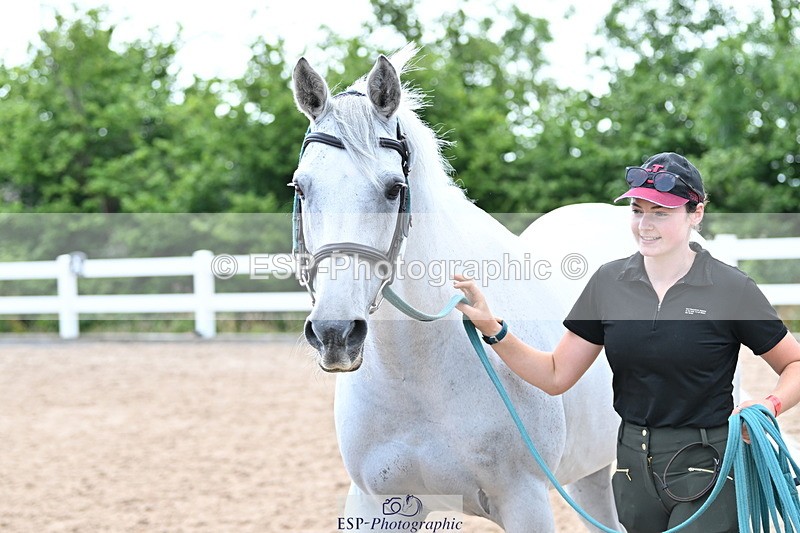240717A-144009-02182 - Trot Up 2pm to 3pm - This folder is not in time order