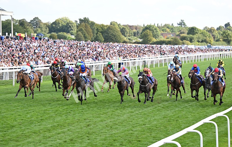 220826-196 Sondad - Race 5 16.10pm Sky Bet Constantine Handicap