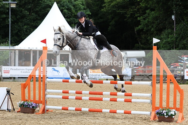 3E7A6110 - Class 4: Senior British Novice/90cm open