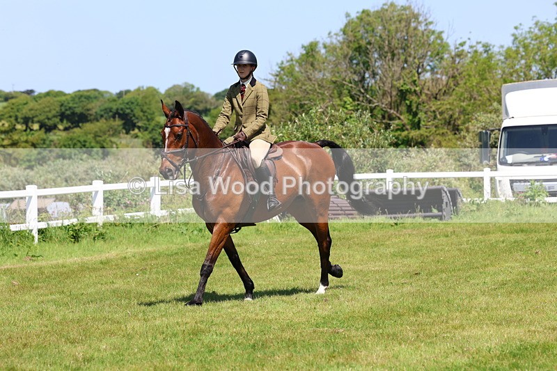 3E7A7248 - Class 30: Novice Working Hunter