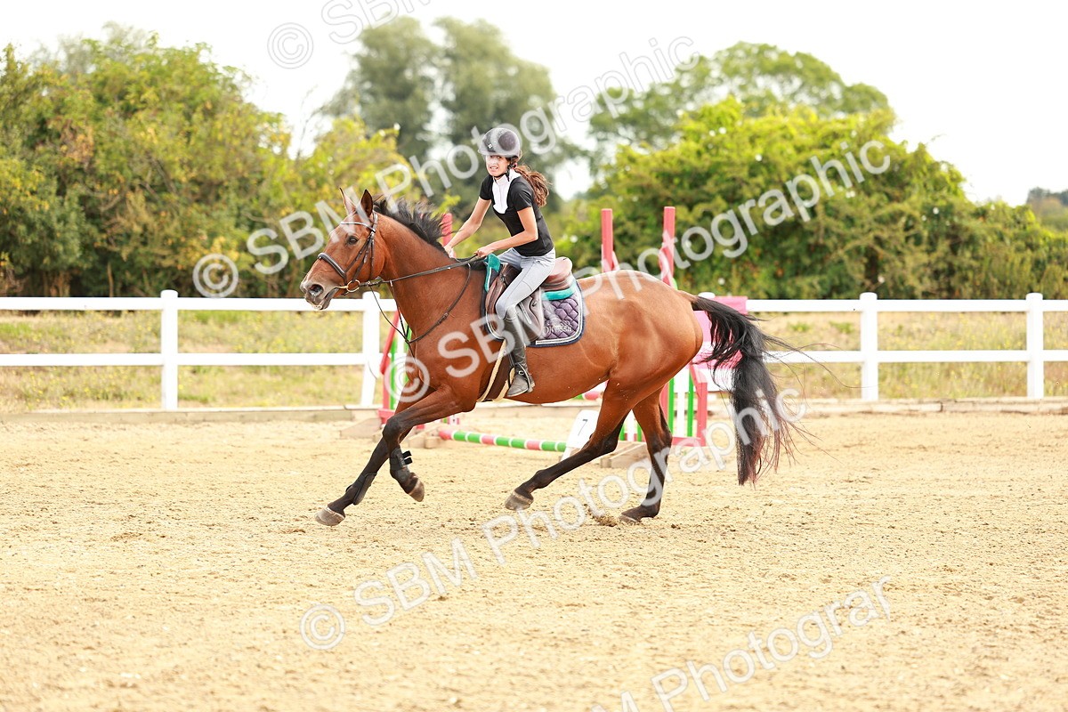 SBM_002290 - Class 9 - Senior British Novice - 90cm