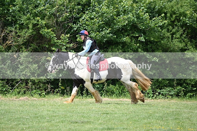 WJ6_3508 - Class 4 60cm